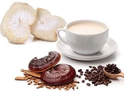 ToshiFarm Lion's Mane En Reishi Koffie - 250 Gram - Biologisch & Fair Trade - Verbetering In Concentratievermogen En Leervermogen - Filterkoffie Met Paddenstoel -Koffiedranken 1200x884